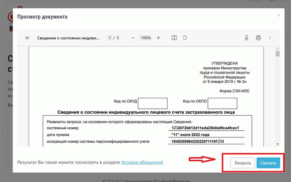 Образец сформированной выписки из ПФР на сайте 